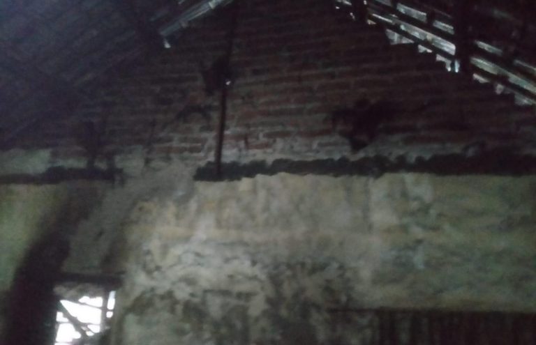 IMG-20260405-WA0063