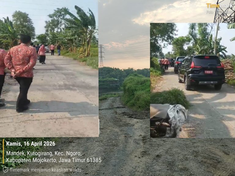 e75aed44-2d63-4f63-a1b7-5239fa825f9b